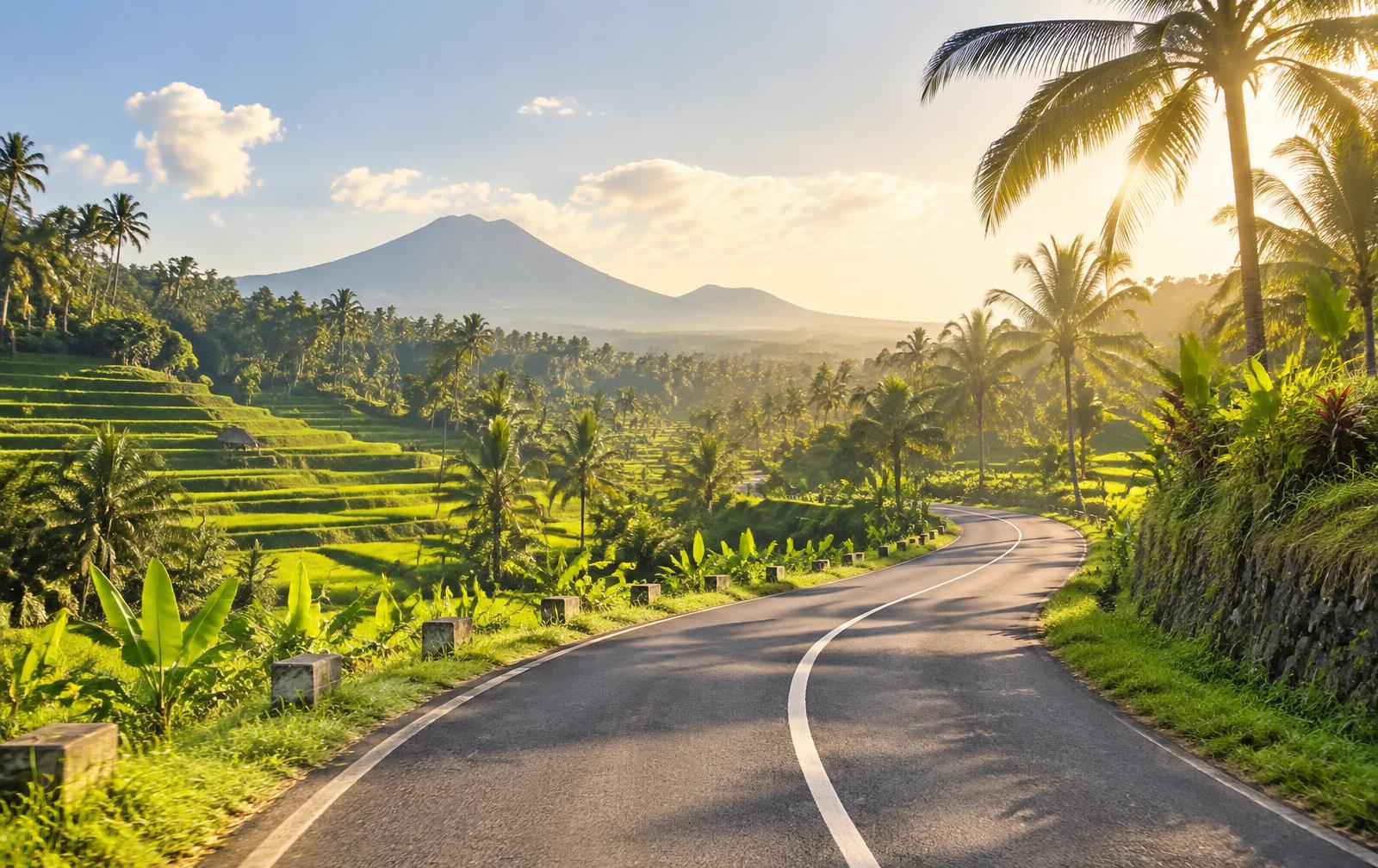 A winding road through green rice terraces and palm trees in Bali